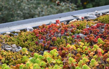 the cost of Wyndham green roof installation