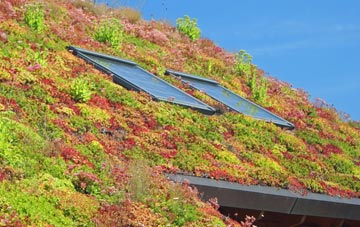 Wyndham living roof systems