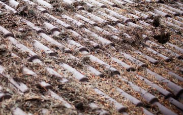 Wyndham roof cleaning companies